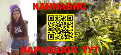 сатива Малгобек