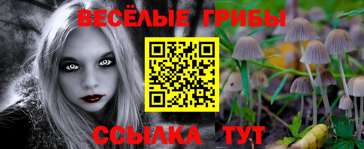 Псилоцибиновые грибы GOLDEN TEACHER Всеволожск